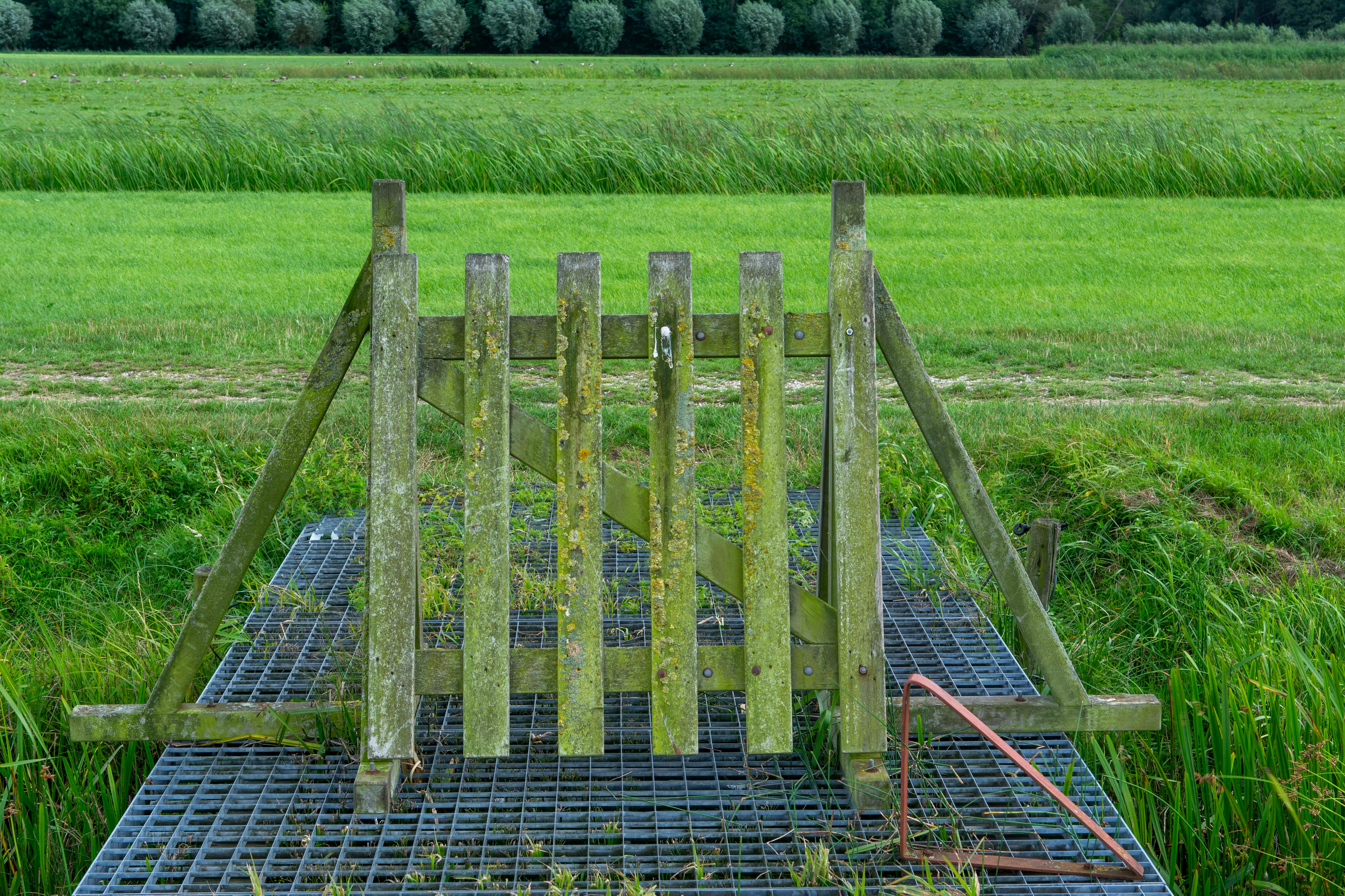 Une clôture en bois rustique située dans un pâturage verdoyant, symbolisant la tranquillité rurale.