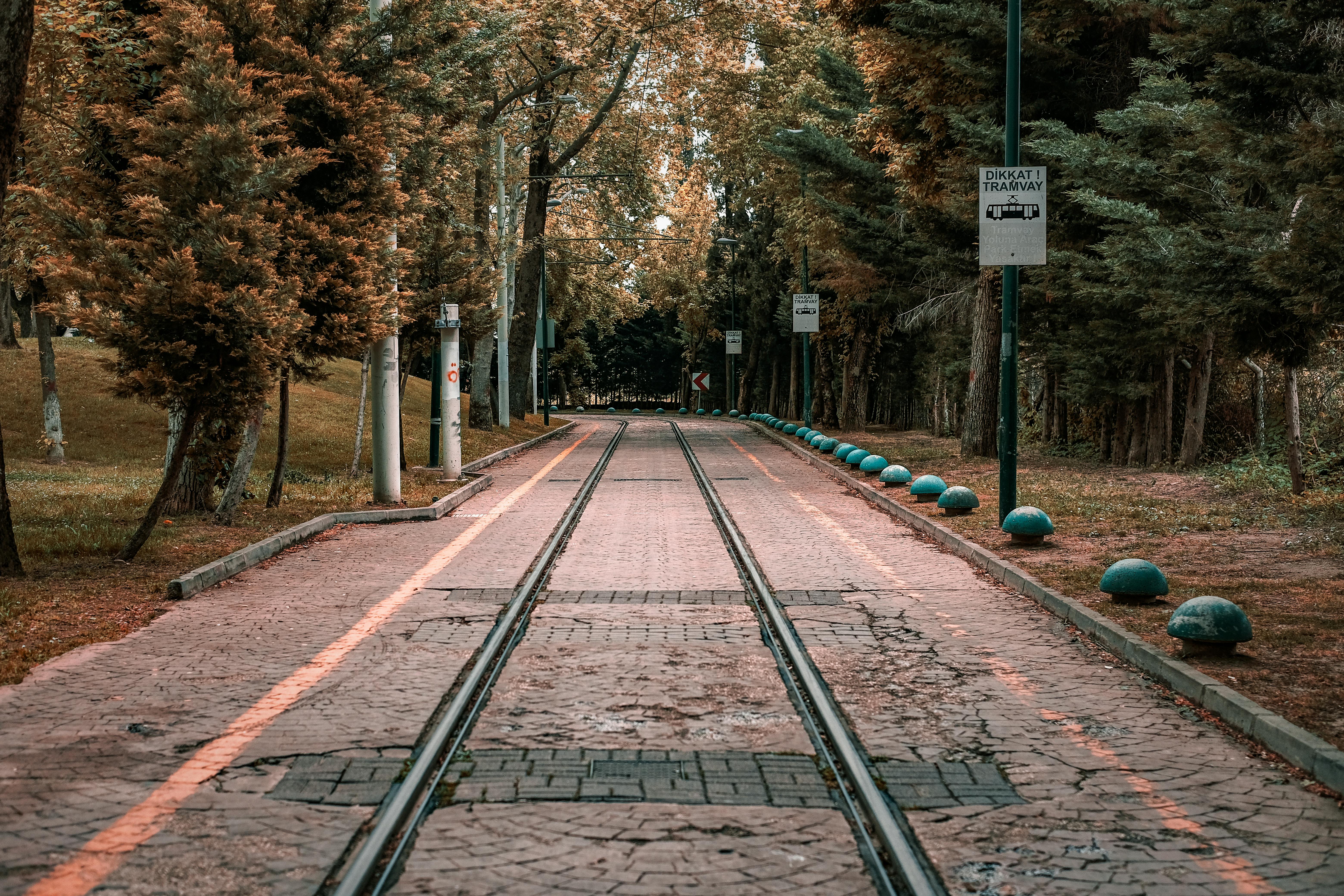 best general travel card — Photo by Can Ceylan on Pexels