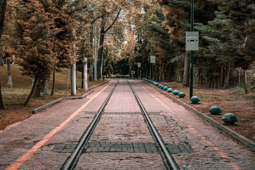 Peaceful tramway path through a forest in autumn, showcasing tranquil nature and vibrant fall colors.