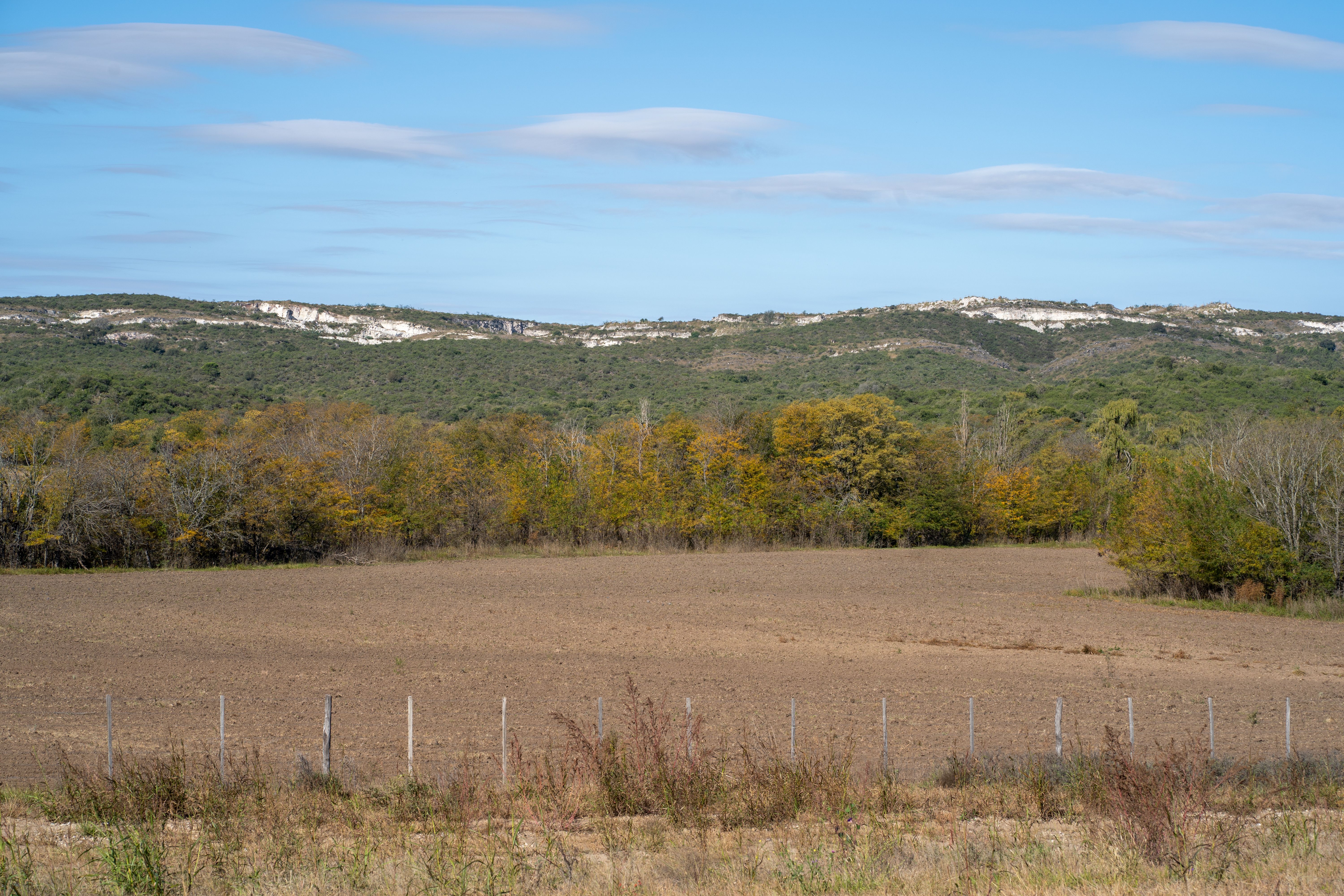 Fotomural Hermoso paisaje otoñal en Río de los Sauces, Córdoba, con montañas y campos.