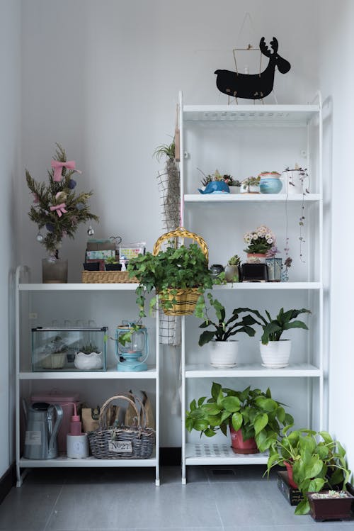 Imagine de stoc gratuită din acasă, aranjament floral, cabinet