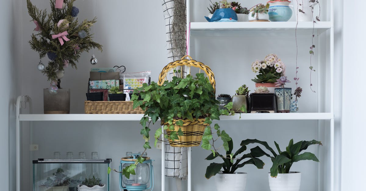 House Management House Management