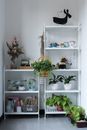 White Wooden 4-layered Shelf