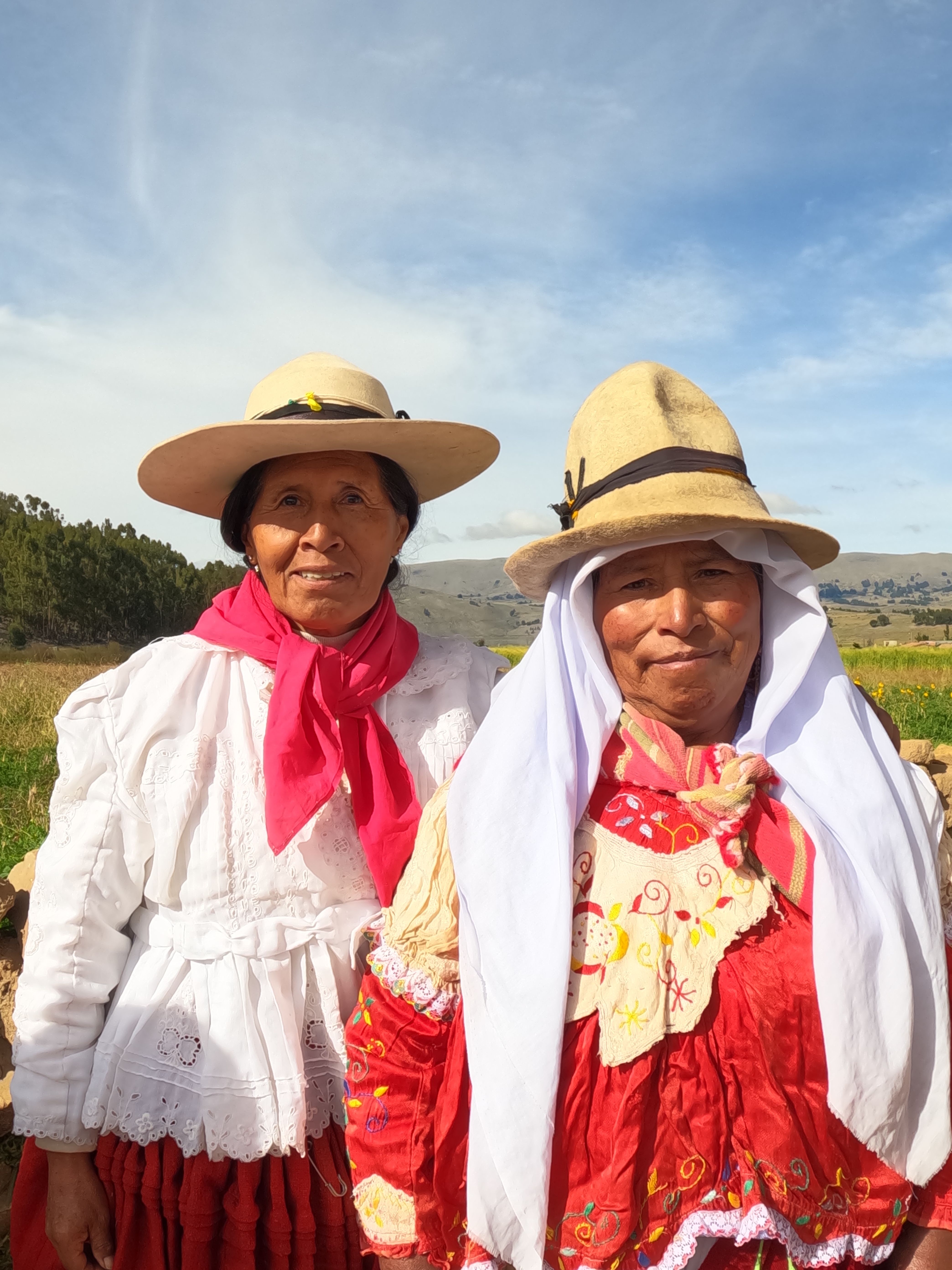 ¿Qué tan accesible es la salud en áreas rurales de Bolivia?