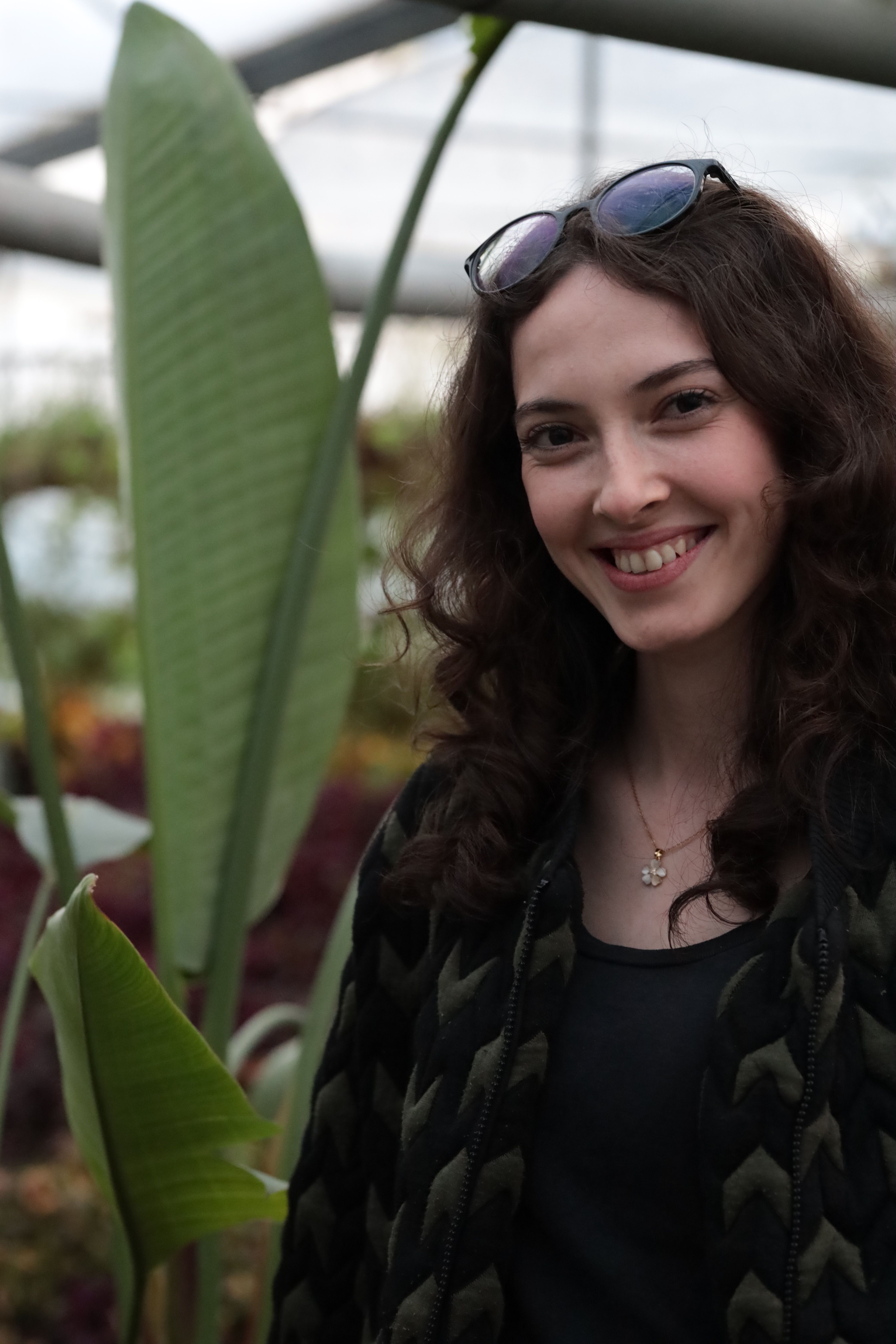 Smiling Woman in Greenhouse with Tropical Plant · Free Stock Photo