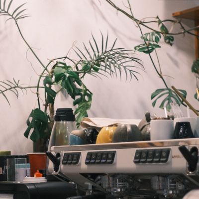 Barista pouring latte art