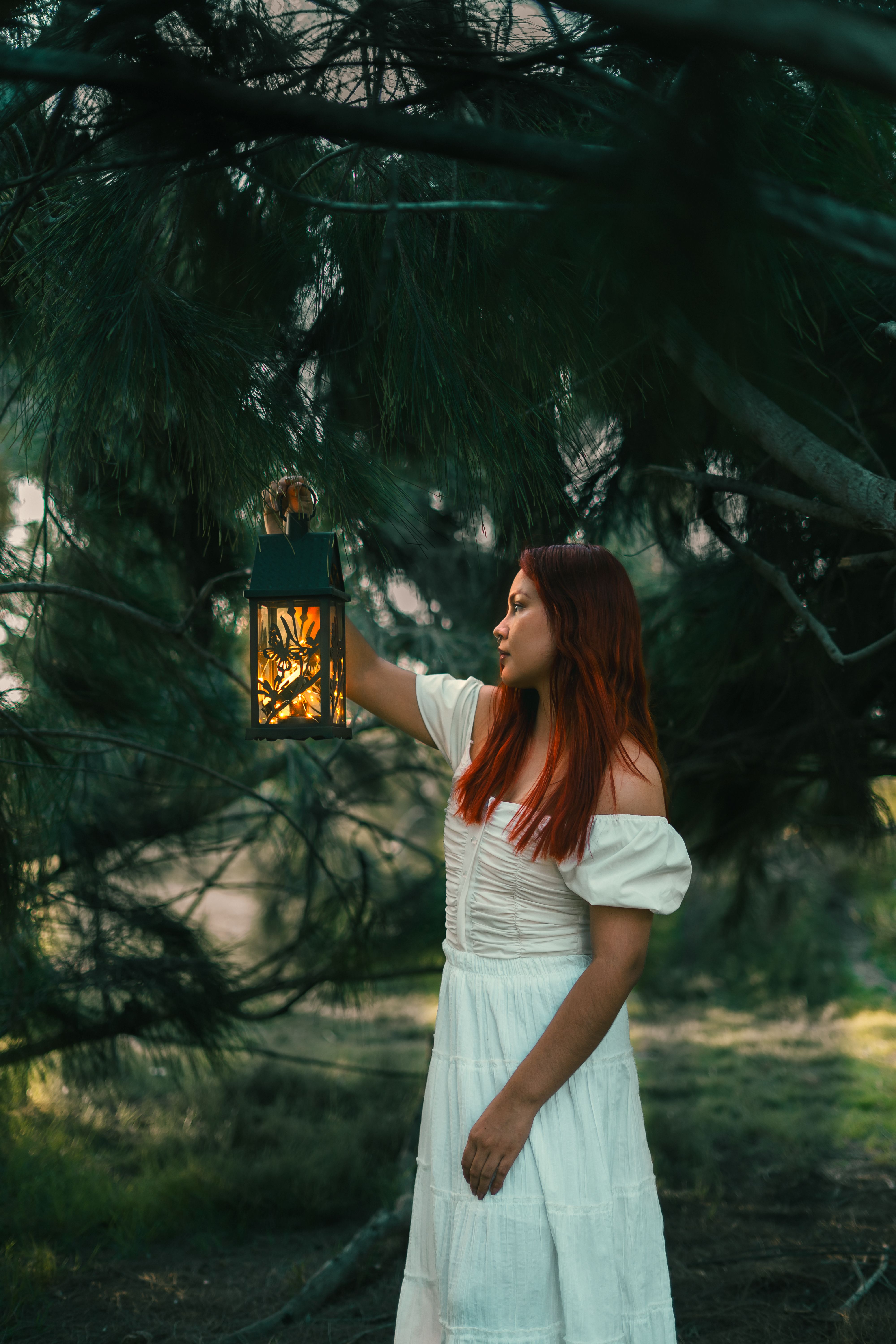 Woman in White Dress Holding Lantern in Forest · Free Stock Photo