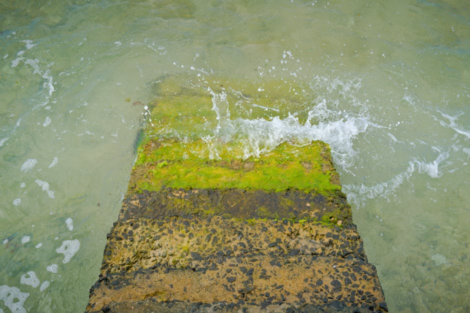 tiered stone wall with integrated marine-grade steps and planting beds on a waterfront slope - retaining wall ideas tiered stone wall with integrated marine-grade steps and planting beds on a waterfront slope - retaining wall ideas