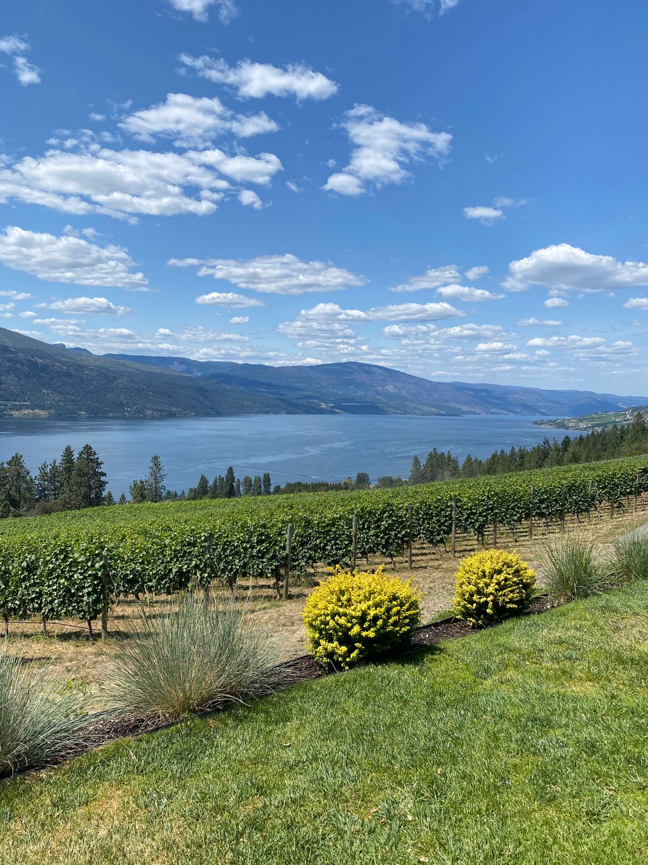 Kelowna digital marketing agency - Smart Marketing First, Okanagan
