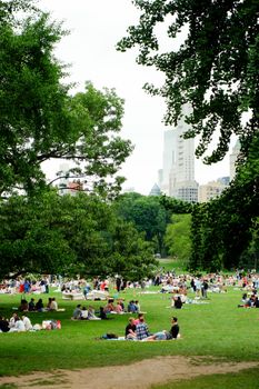 People enjoying a sunny day in Central Park, New York City, with the skyline in view.
