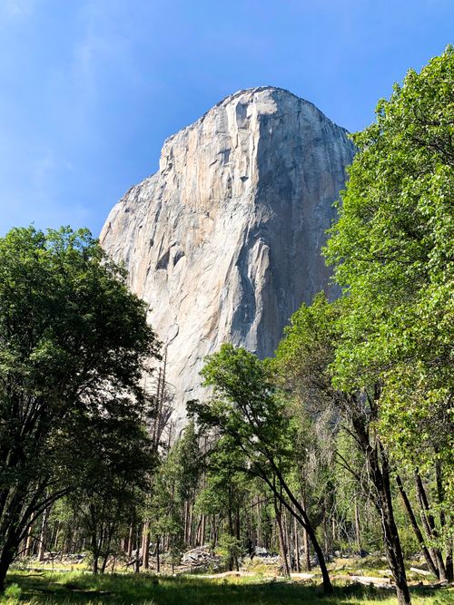 Free Stunning view of El Capitan surrounded by lush greenery in Yosemite National Park. Stock Photo