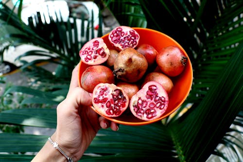 Free Red Pomegranates Stock Photo