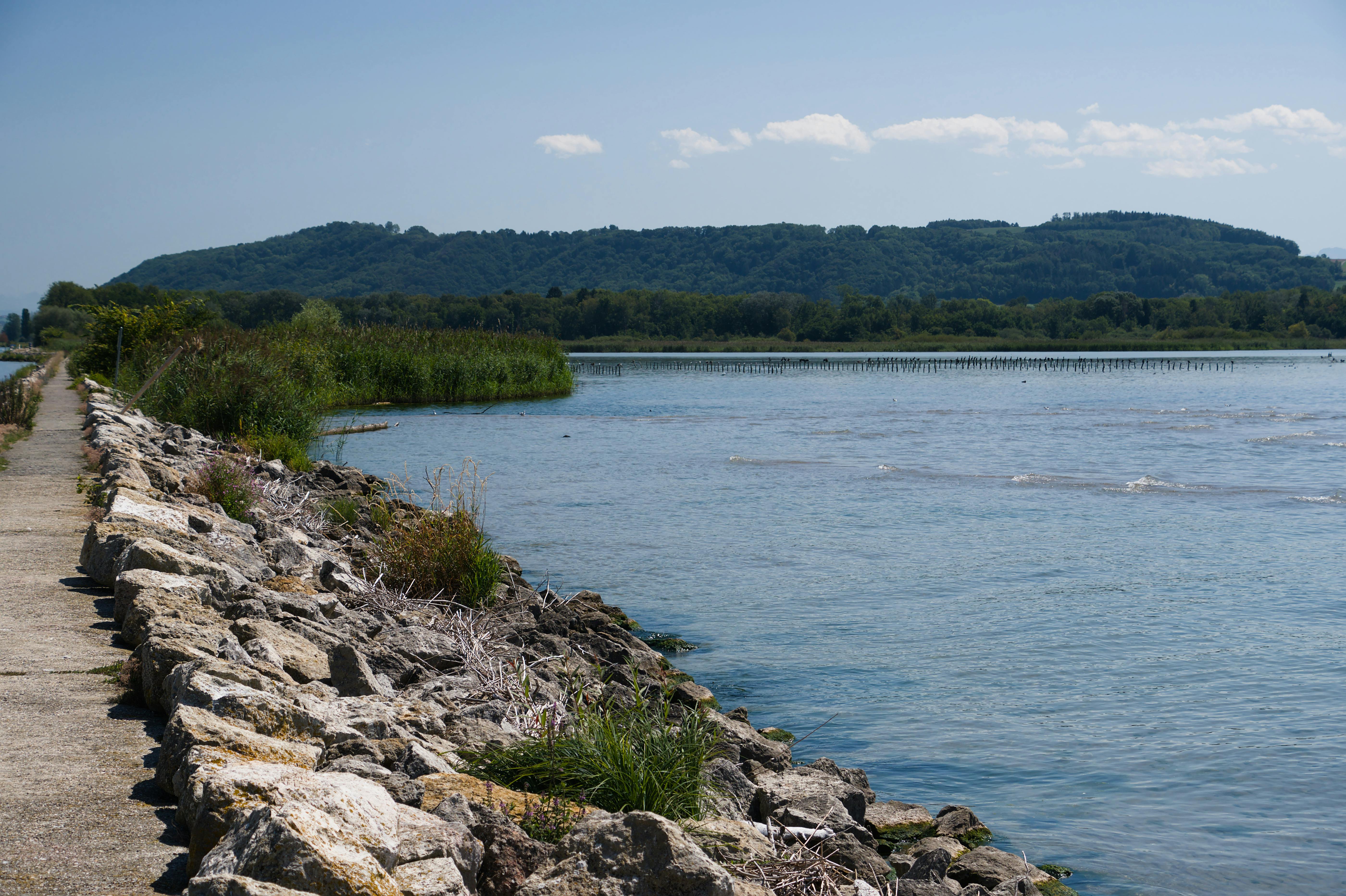 Sea-Level Rise and the Role of Geneva — Photo by Jean-Paul Wettstein on Pexels