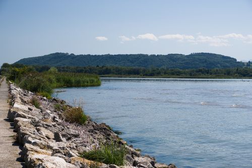 Free Peaceful scene of a lake bordered by rocks and lush greenery near Mühleberg, Switzerland. Stock Photo