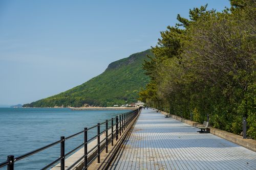 Free Serene coastal walkway with lush greenery and ocean view, perfect for a peaceful stroll. Stock Photo