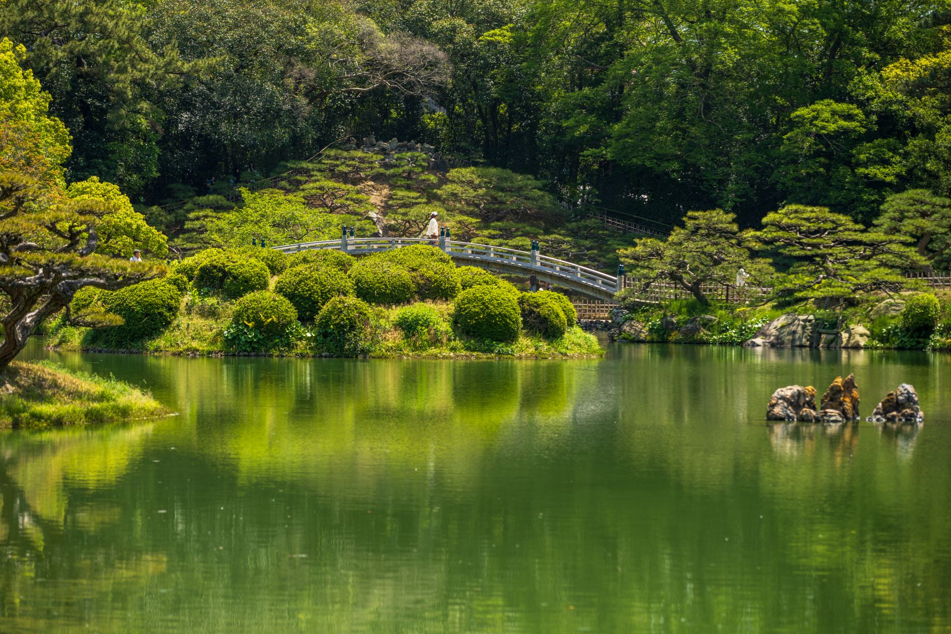 Tranquil Japanese garden with lush greenery and a beautiful pond reflecting the serene landscape.