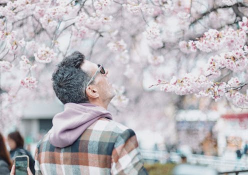 A man enjoys the cherry blossoms in full bloom in Ueno Park, Tokyo, capturing the essence of spring in Japan.