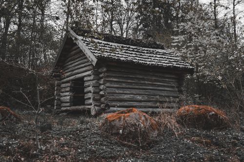 Free A vintage log cabin surrounded by dense forest undergrowth and large rocks in a moody setting. Stock Photo