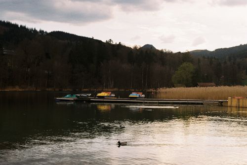 Free A serene lake with docked boats and ducks, set against a mountainous backdrop in Bavaria, Germany. Stock Photo