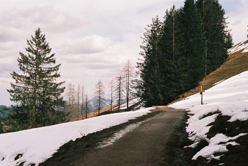Free Captivating snowy path leading through a Bavarian forest, perfect for nature lovers and hikers. Stock Photo