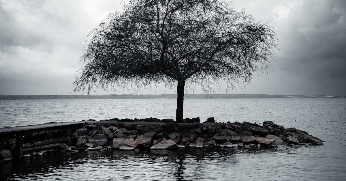 被譽為台南秘境!2025漁光島生活節邀你登島放空享受慢活時光