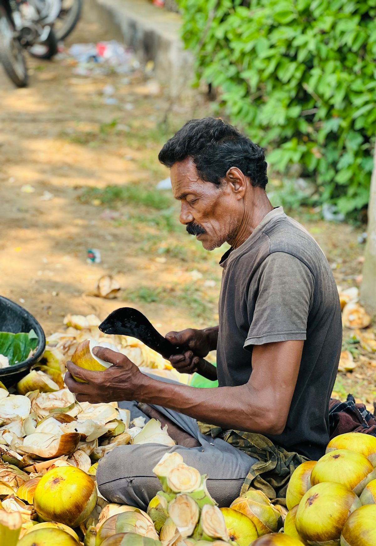 Pekerja mengupas kelapa muda di luar semasa cuaca lembap