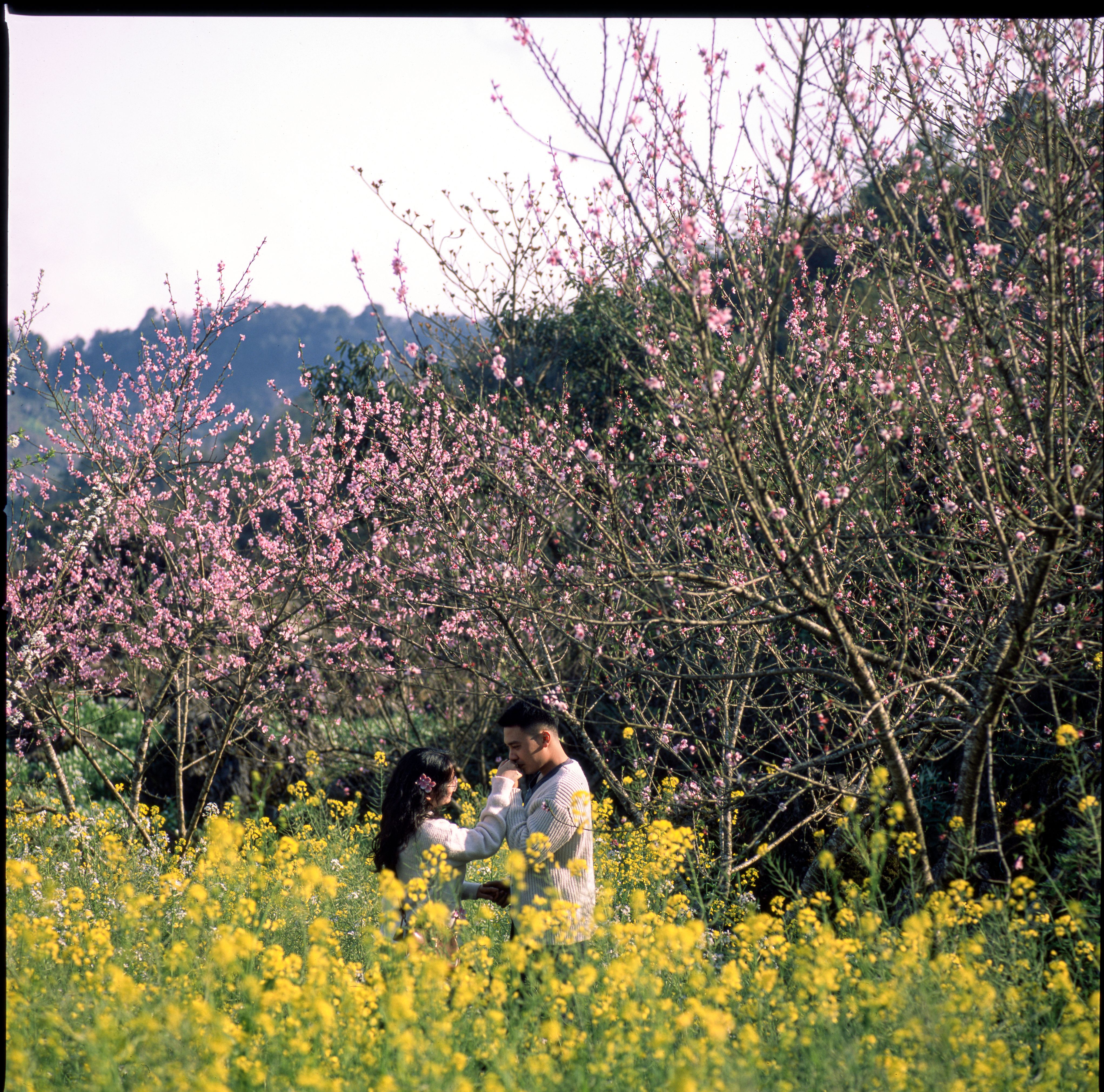 Pareja entre árboles en flor durante un viaje de novios en primavera