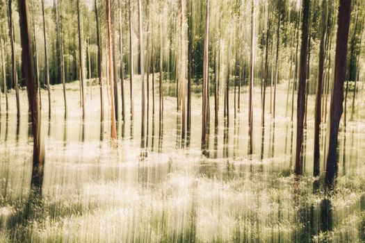 Artistic interpretation of a forest with vertical motion blur, creating an abstract and dreamy atmosphere.