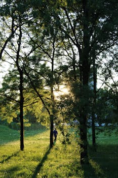 Image by Earth Photart