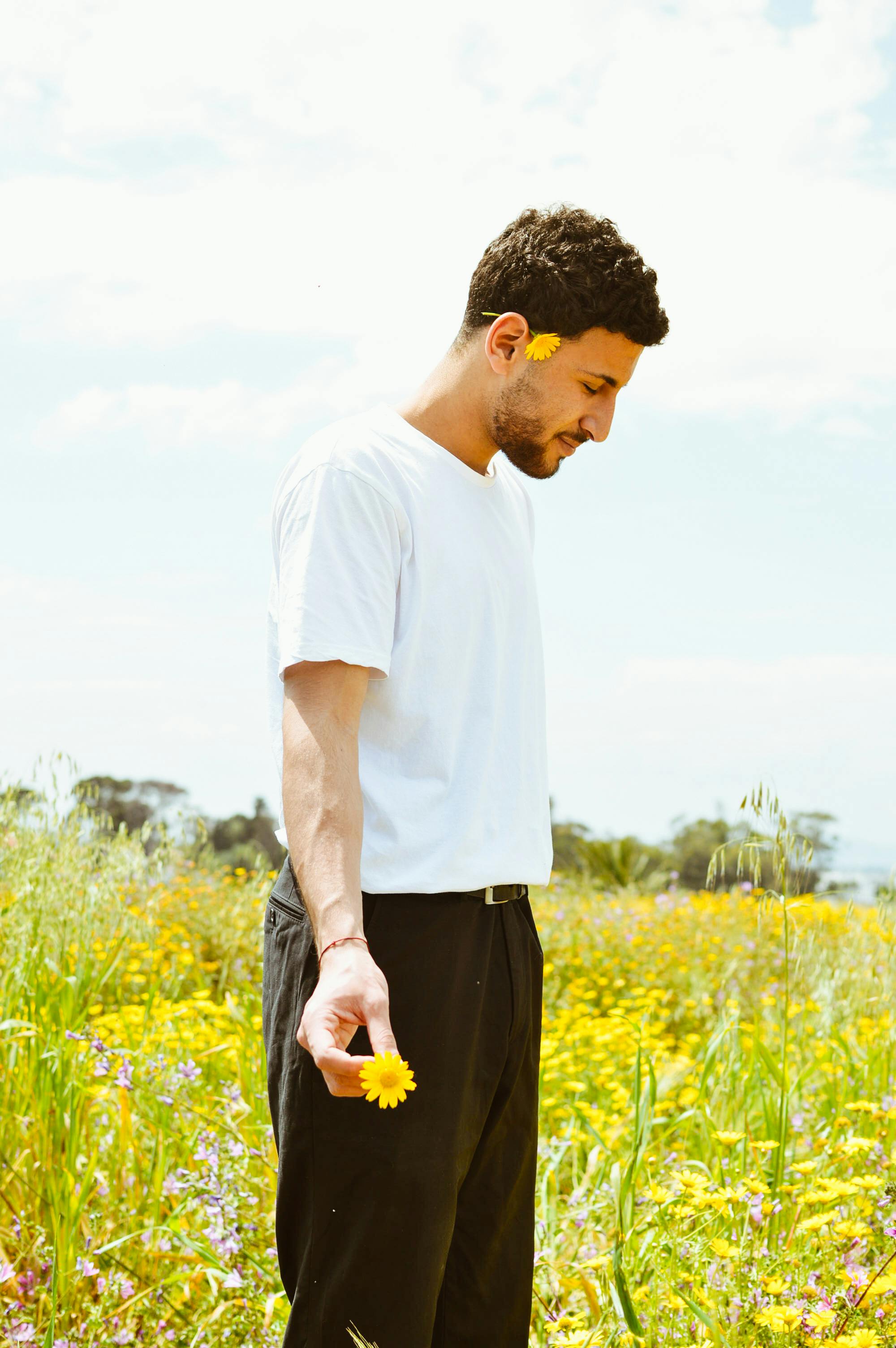 A young man in a field with yellow flowers, lost in thought on a sunny day.