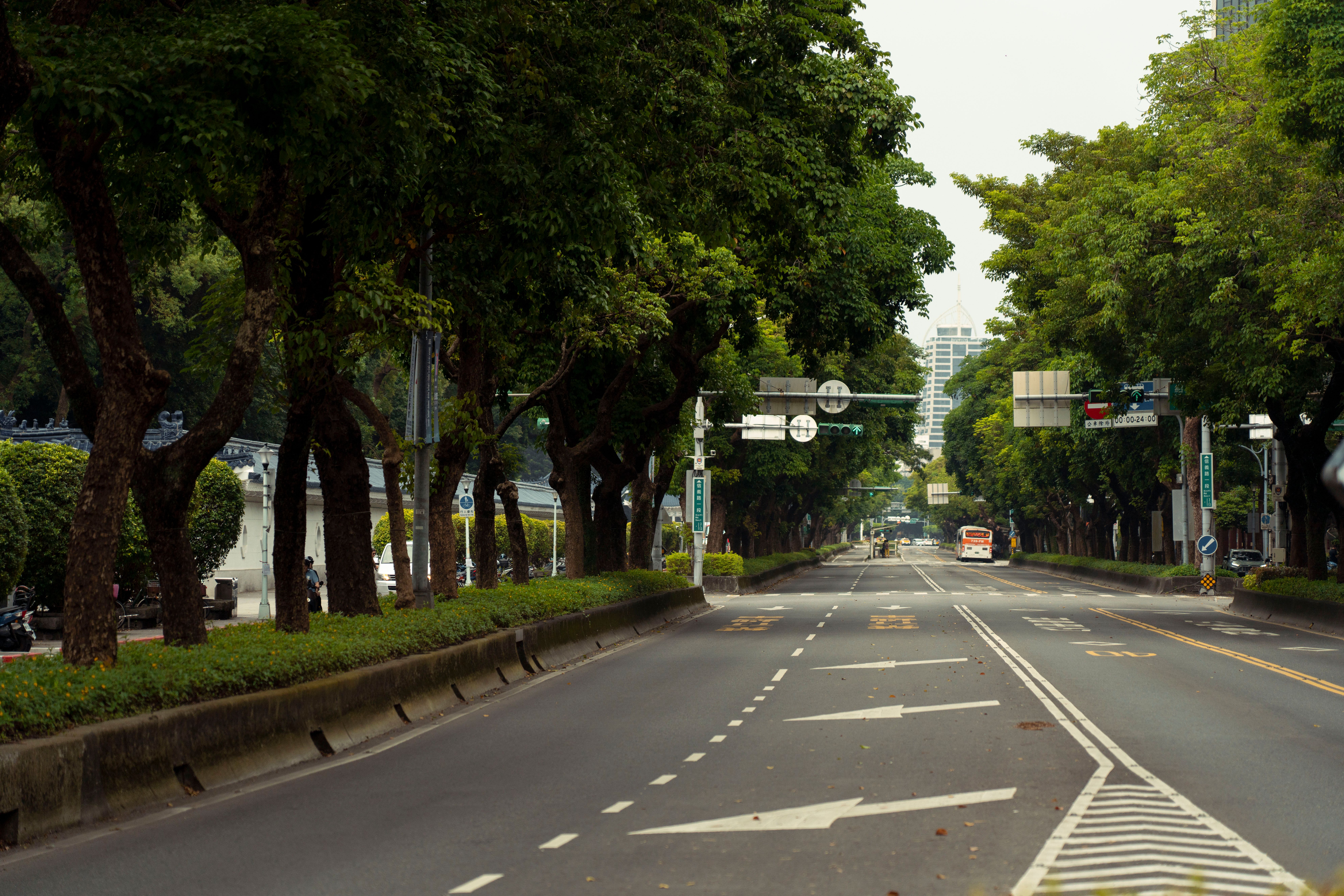 Tree-lined Urban Street with Road Signs · Free Stock Photo