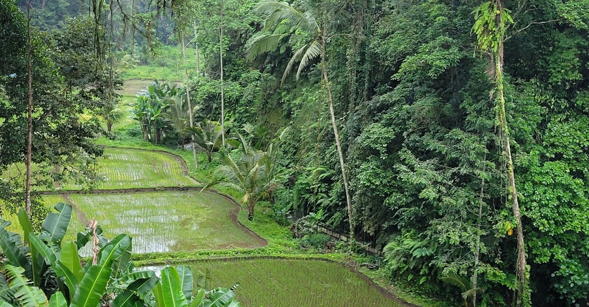 五一黑土春潮涌,科技助力農耕新風潮