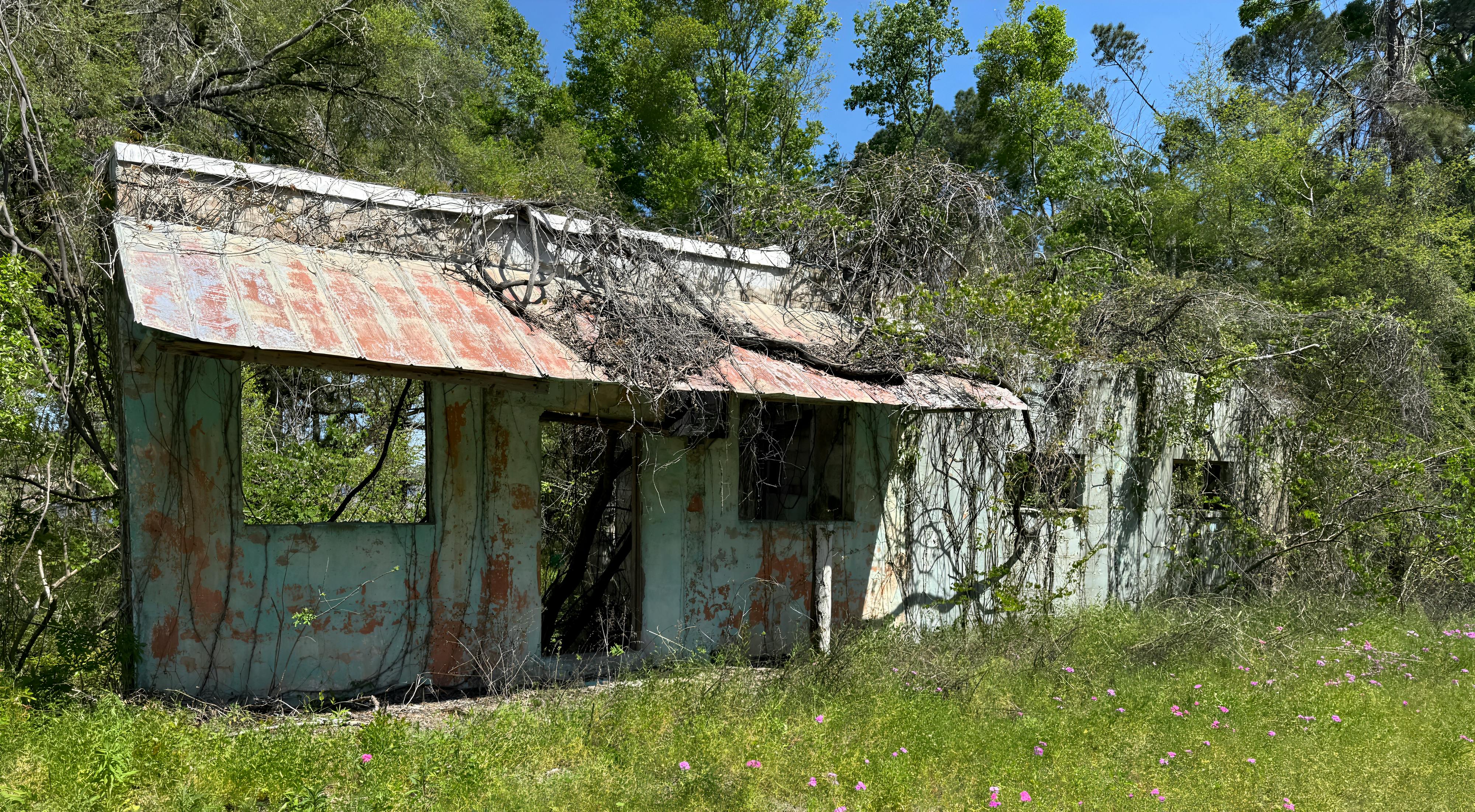 Rustic, overgrown structure captured in Florida under clear skies.