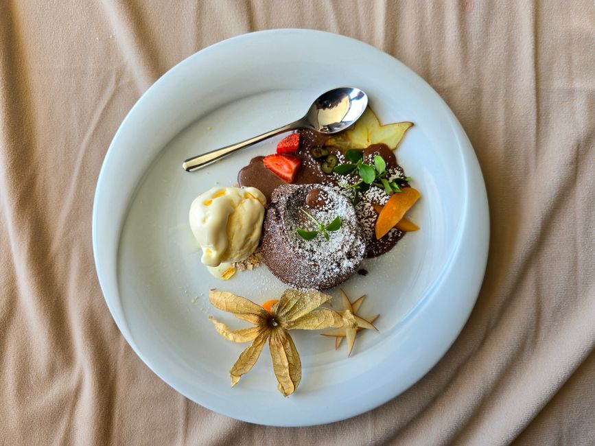 Elegant dessert featuring chocolate cake, ice cream, and fresh fruit on a decorative plate.