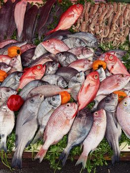 Colorful assortment of fresh fish and vegetables at a bustling market.