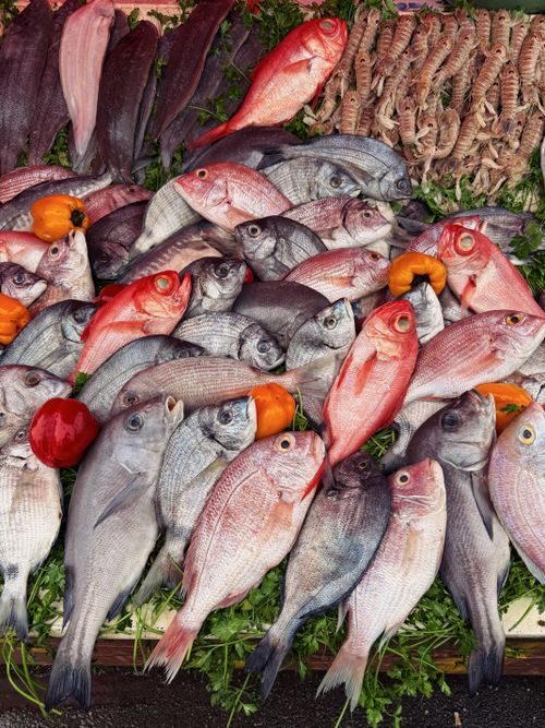 Free Colorful assortment of fresh fish and vegetables at a bustling market. Stock Photo