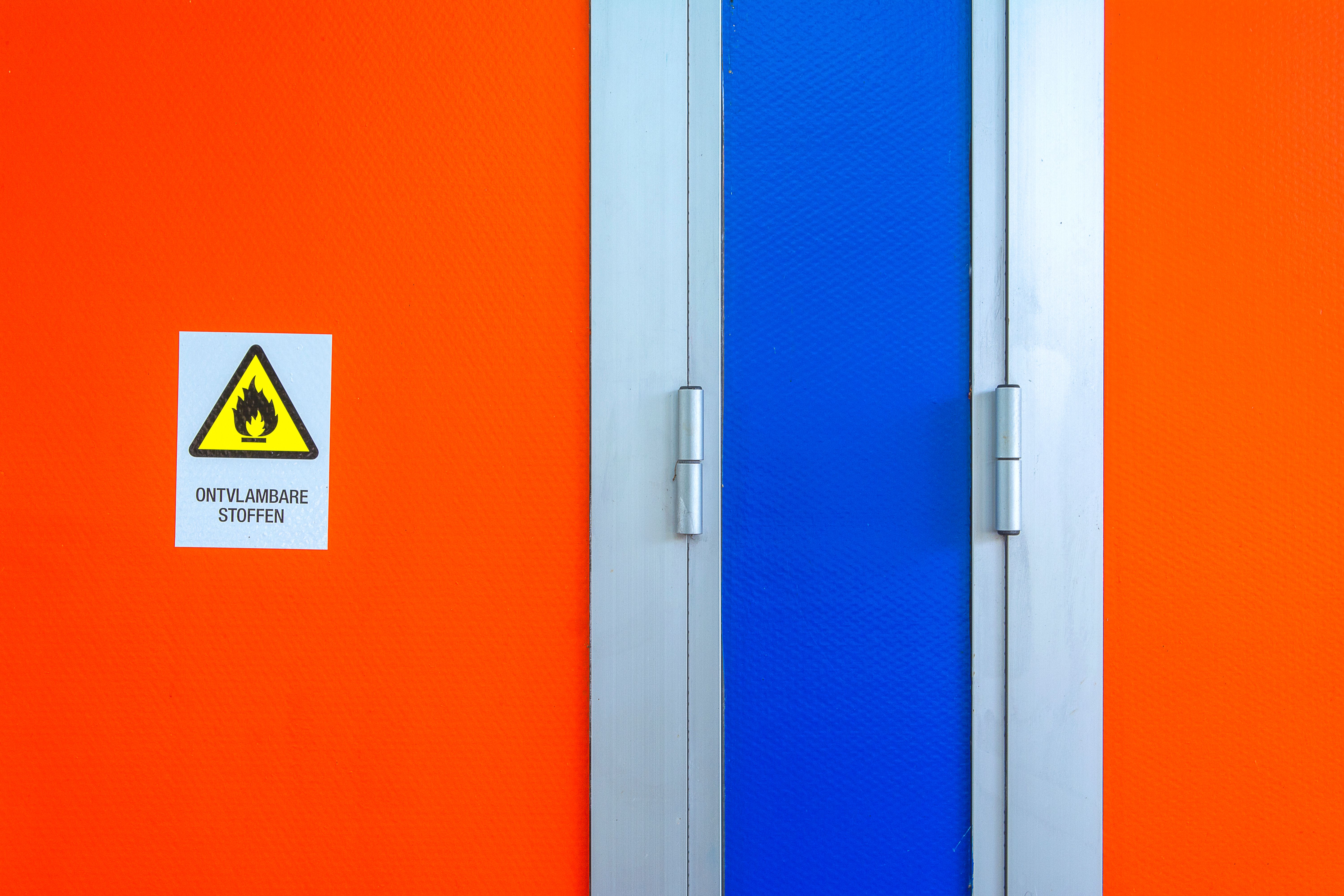 Can Black Mold Cause Allergies and Respiratory Issues? — image by Jan van der Wolf