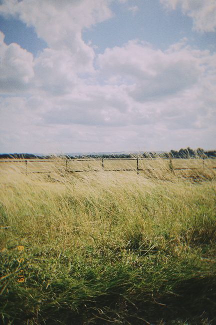 A serene grassy field stretches under a cloudy sky, capturing natural rural beauty.