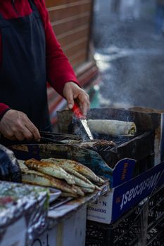 A street vendor prepares fish kebabs on an outdoor grill, capturing the essence of local cuisine.