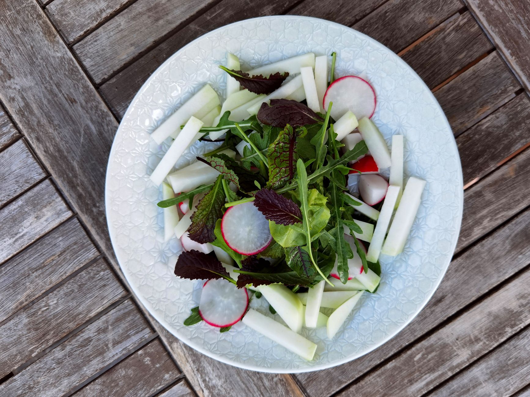 Ultimate Keto Air Fryer Recipe Guide 1 A vibrant and healthy vegan salad featuring fresh radishes, greens, and sliced celery on a white plate.