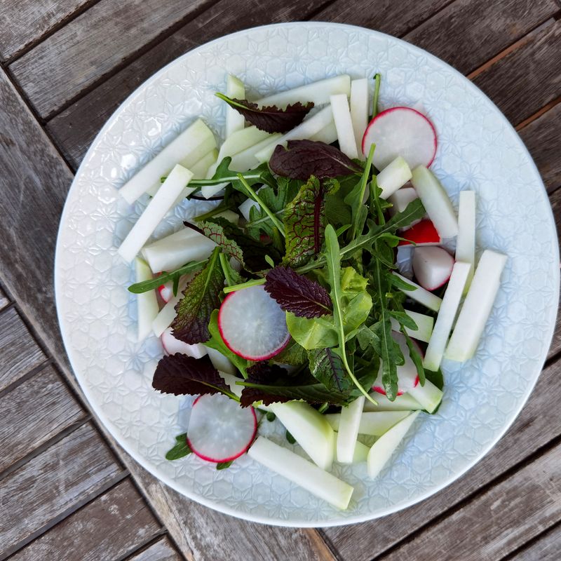 Pear Apple Celery Salad with Cheddar