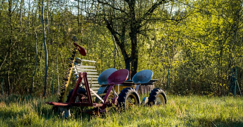 Débroussailler son terrain : dans quels cas est-ce obligatoire ?