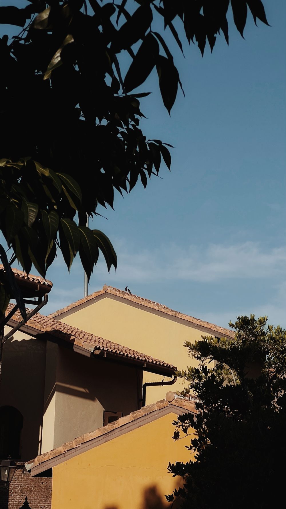 Renovated tiled roof on a suburban home