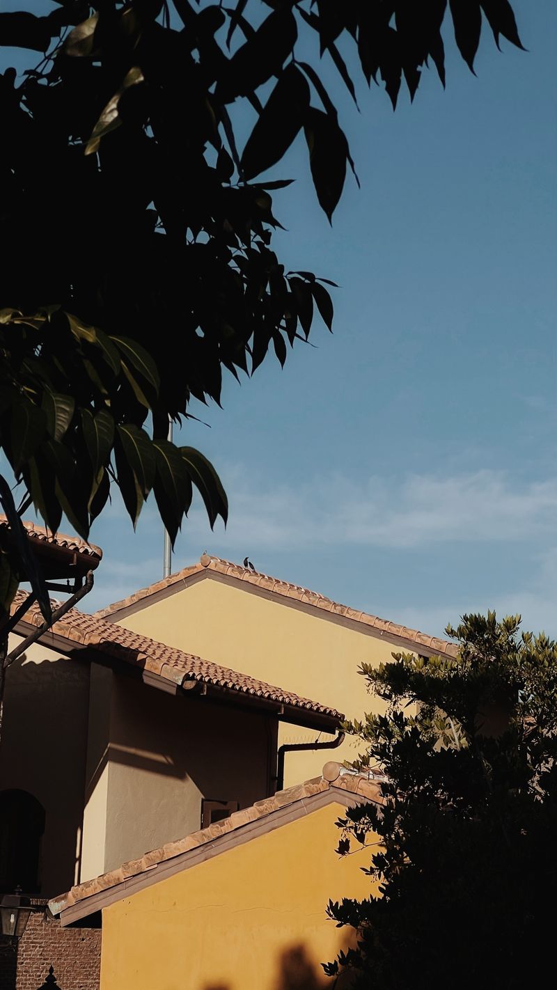 Renovated suburban home with tiled roof