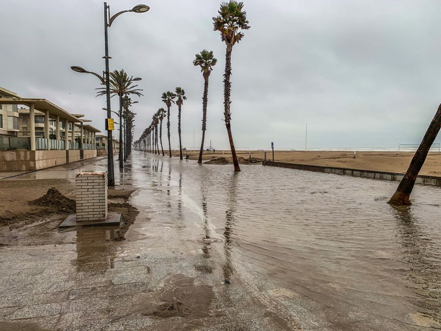 Photo by José Antonio Otegui Auzmendi Flooded promenade with palm trees and beach under overcast skies.
