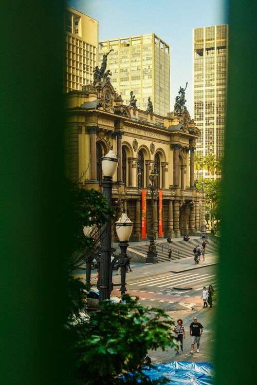 Free View of the historic Teatro Municipal de São Paulo, Brazil, framed by urban foliage. Stock Photo