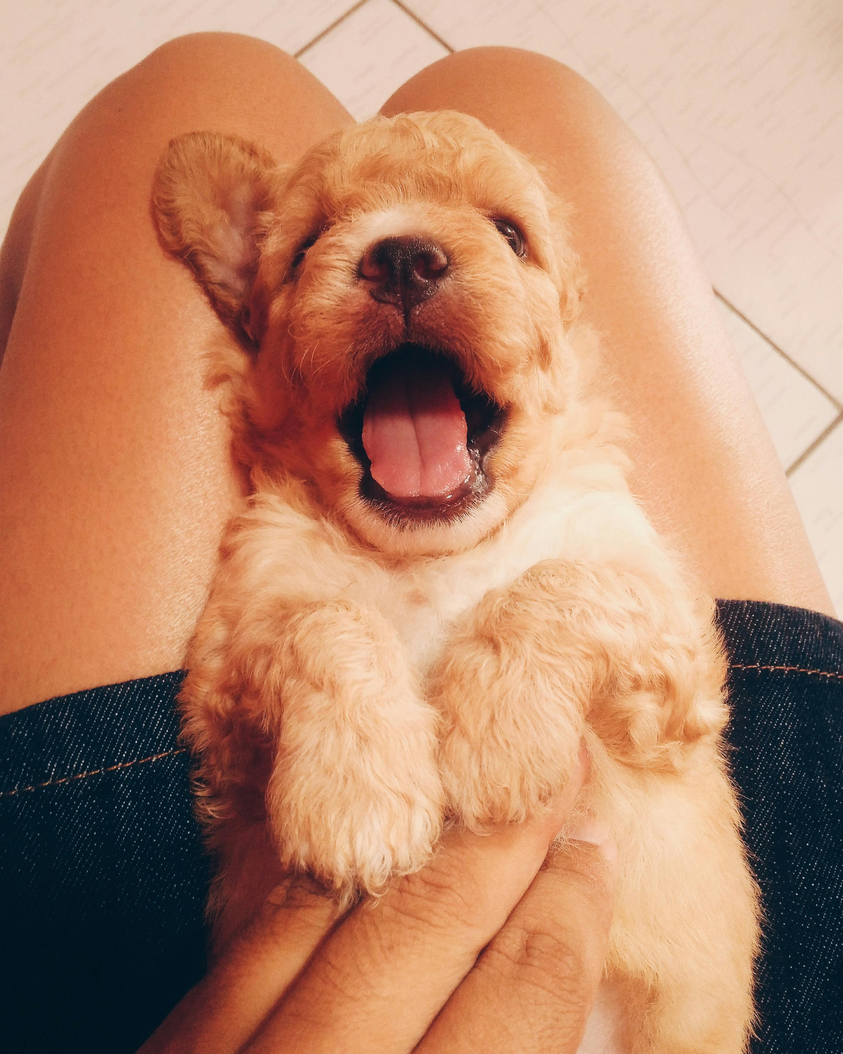 Night sky with bright moon over a city skyline