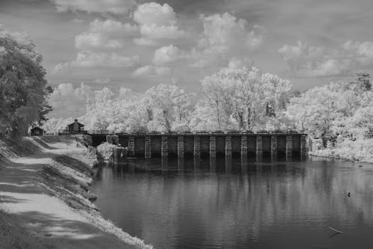 Black and white infrared photo of a historic bridge near Broad River, Columbia, South Carolina.