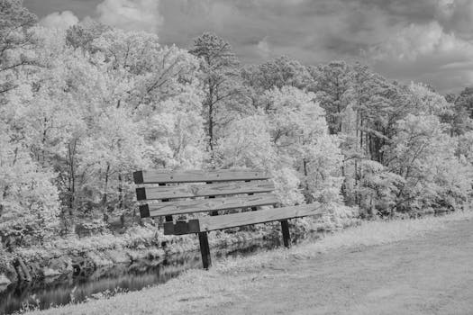 Infrared black and white photo of a park bench by a river with trees in Columbia, SC.