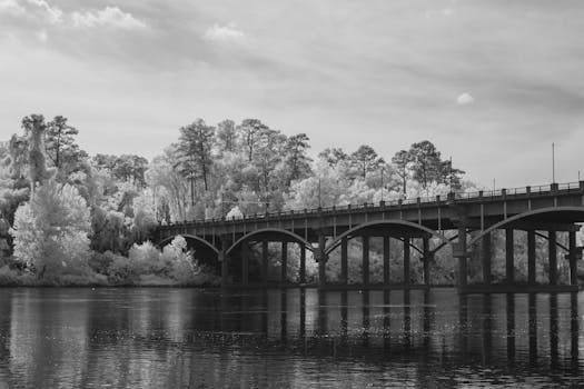 Infrared image of an arched bridge over a broad river with lush trees, Columbia.